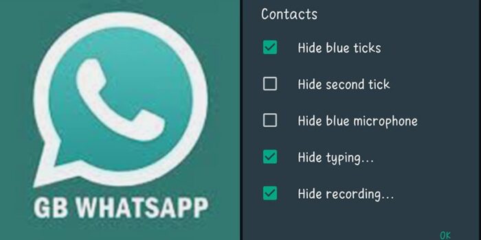 GB WhatsApp: Mengoptimalkan Pengalaman Chat Anda