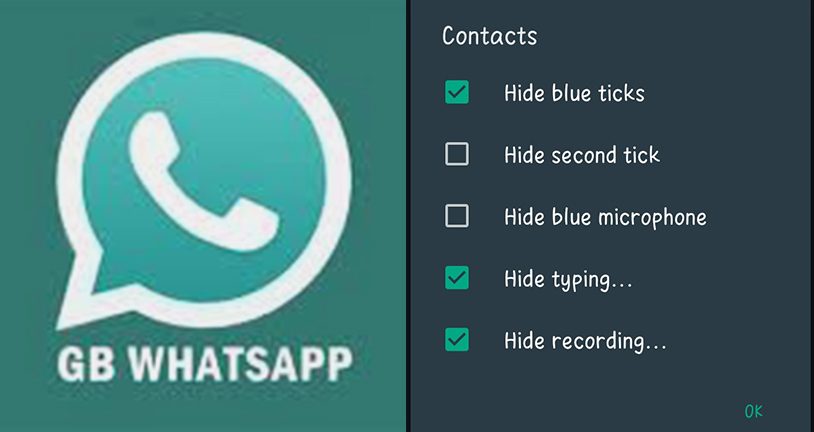 GB WhatsApp: Mengoptimalkan Pengalaman Chat Anda